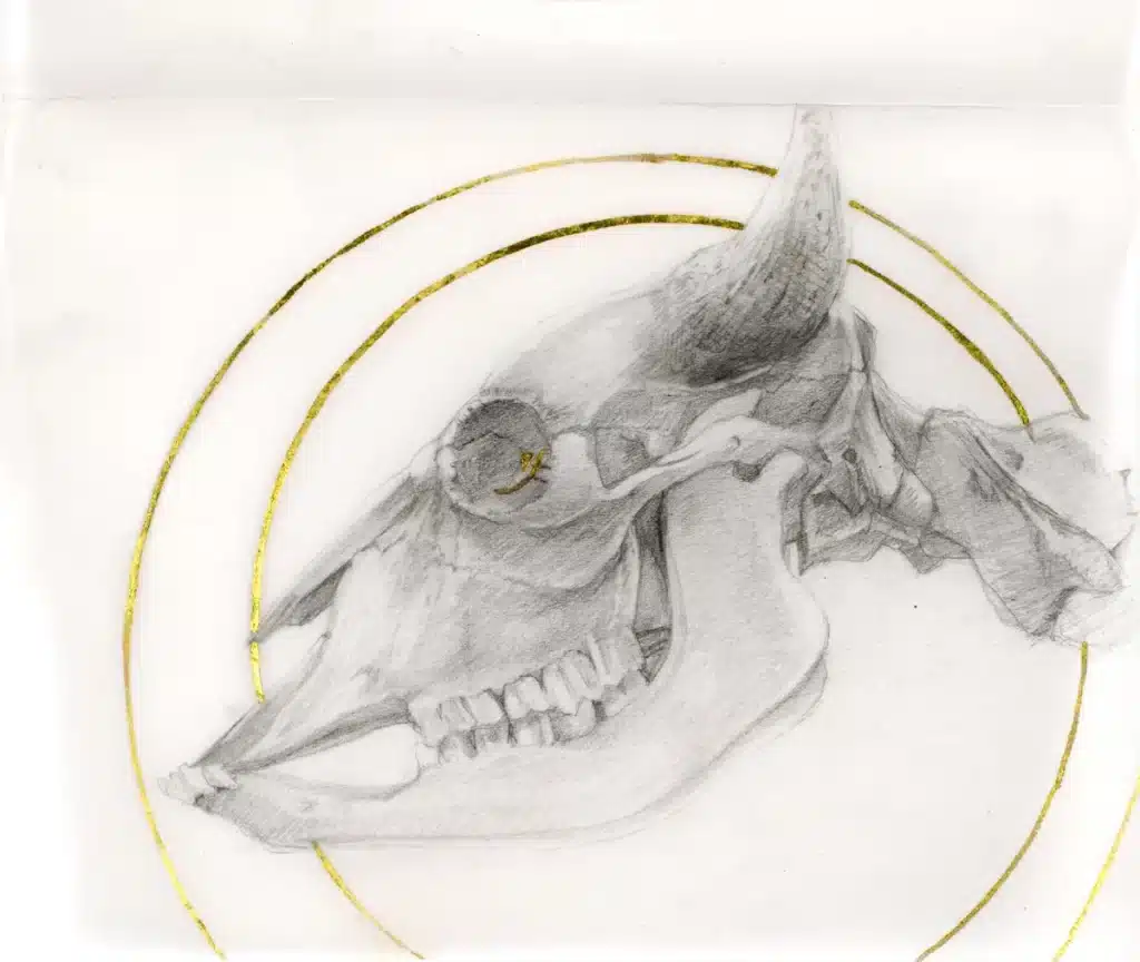 Drawing and Painting